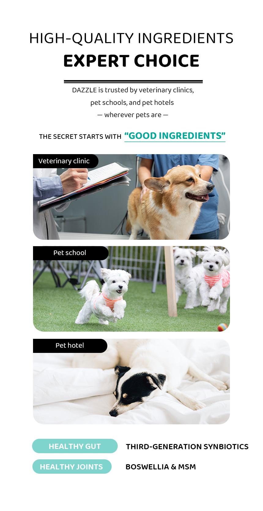 DAZZLE Lamb & Rice Dog Food - 100% Best Korean Quality