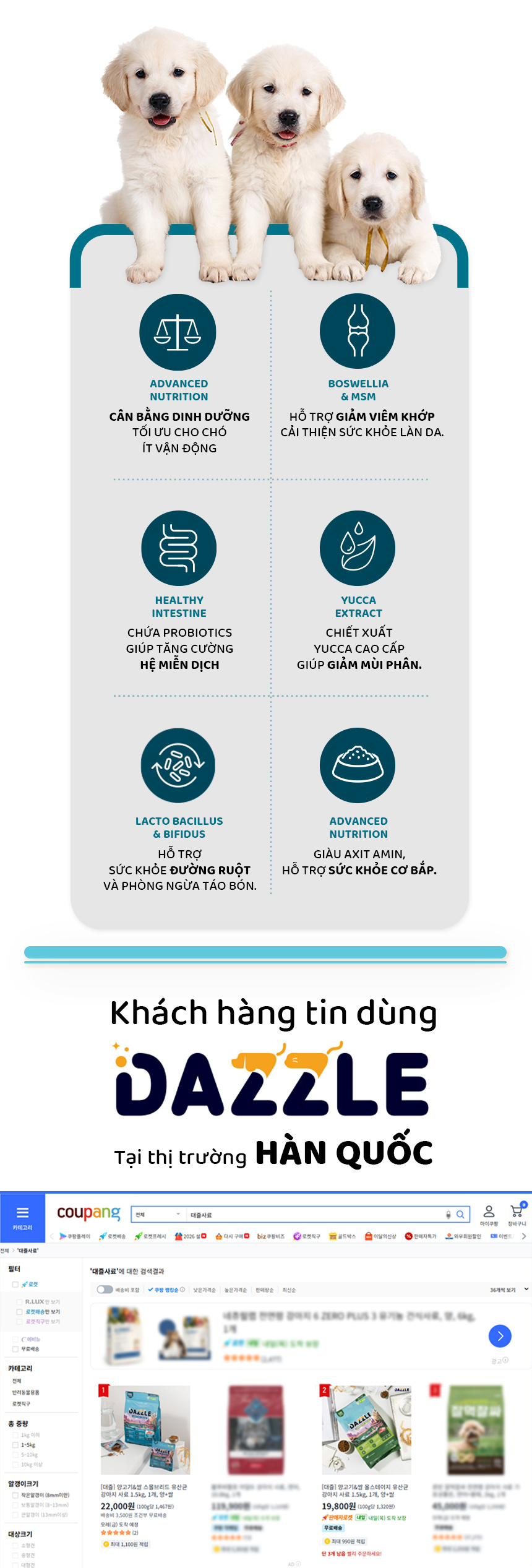 Hạt DAZZLE cho chó vị cừu