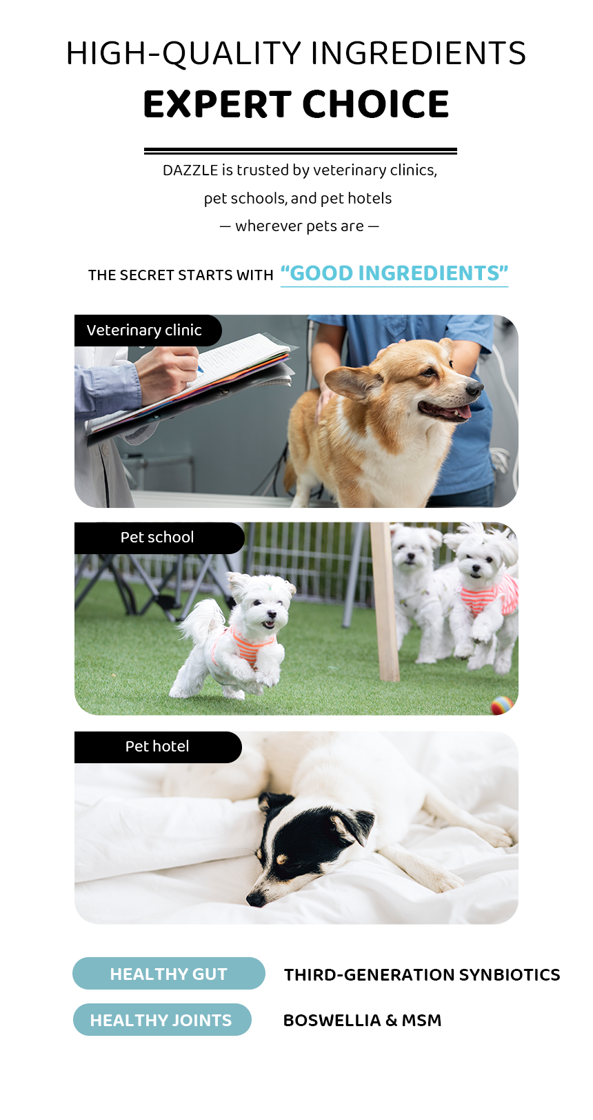 DAZZLE Small Breed Dog Food 100% Best Korean Quality