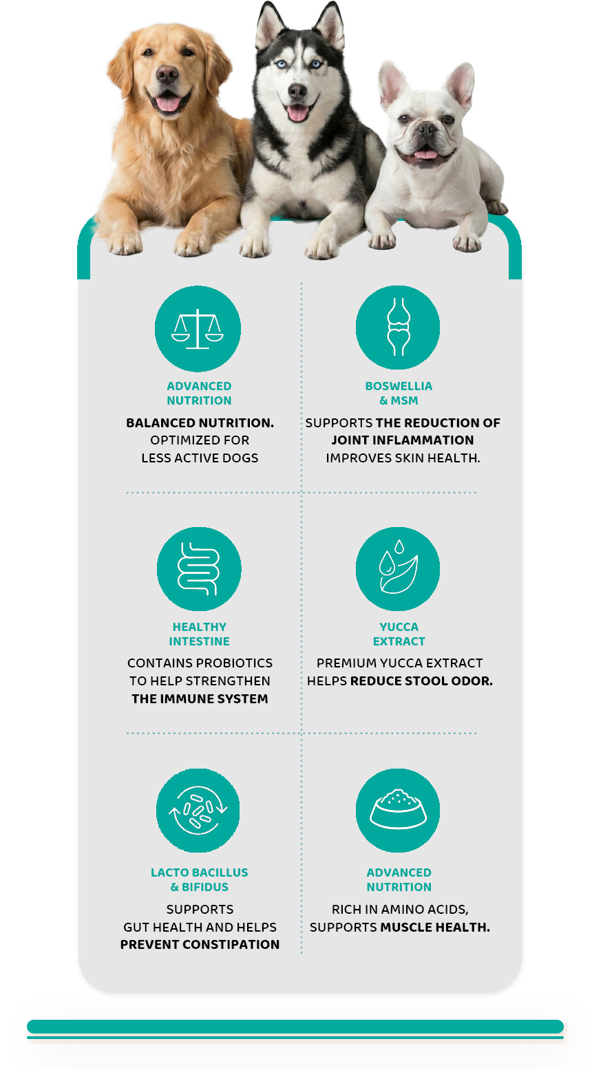 DAZZLE Lamb & Rice Dog Food - 100% Best Korean Quality